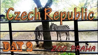 Пражский зоопарк, наш второй день в Чехии. Самый большой зоопарк в моей жизни. Zoo Praha