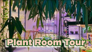 HOUSEPLANT TOUR of my PLANT ROOM before rearranging/makeover