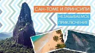 ФРИДАЙВИНГ С КИТАМИ // САН-ТОМЕ И ПРИНСИПИ // 13-27 АВГУСТА 2023