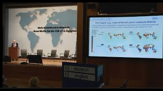 Was auf der UN-Klimakonferenz in Sharm el-Sheikh wichtig wird #COP27