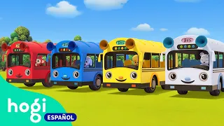 Aprende los Colores con Autobuses | Buses Coloridos | Canciones Infantiles | Hogi en español