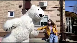 Белый мишка "Пломбир" в Ростове
