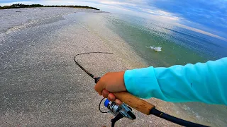 How I Fish a New BEACH with Lures! **SUCCESS**