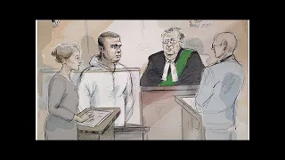 Toronto van attack suspect Alek Minassian appears in court, faces murder charges