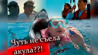 ОТДЫХ В ЕГИПТЕ ЧУТЬ НЕ УКУСИЛА АКУЛА !?