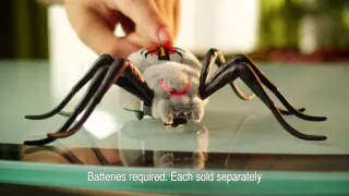 Wild Pets (Spider Habitat Playset by Wild Pets) - ToySeek