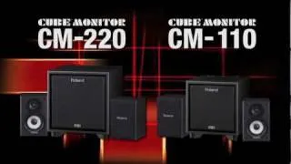 CM-220/110 CUBE Monitor Overview