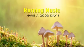 GOOD MORNING MUSIC - Strong Positive Energy ➤Wake Up Renewed & Happy ➤Soft Morning Meditation Music