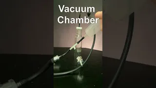 Best DIY Vacuum Chamber for Marshmallows (Maybe)