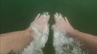 Bawsey country park lake swimming