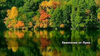 Евангелие от Луки / Глава 6