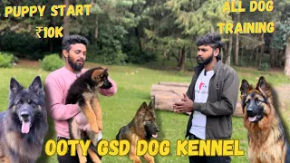 Gremen shepherd kennel ooty|best quality GSD puppy sales|long coat GSD|short coat GSD|ooty dogkennel
