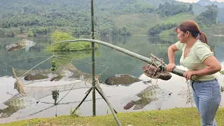 FULL VIDEO: the girl's many ways of catching fish on the lake. Alone life.