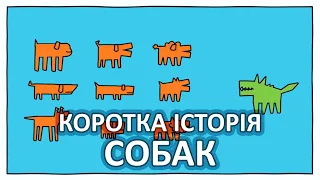 Коротка історія собак [TED-Ed]