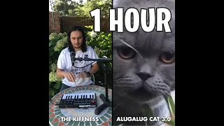 1 HOUR The Kiffness x Alugalug Cat 3 0 Spell Cat