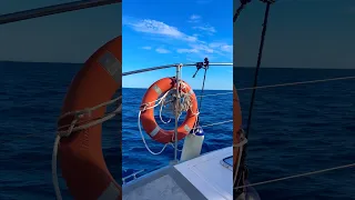 SHIP AHOY! Heading out to sea in Tenerife