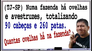 2 PROBLEMAS DE CONCURSOS - SISTEMA DE EQUAÇÕES - Prof Robson Liers - Mathematicamente