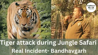 Tiger attack on Tourists during jungle safari at Bandhavgarh National Park #tigerattack  #tigers
