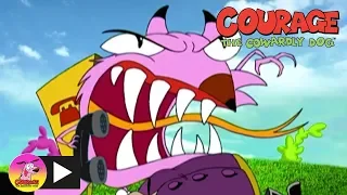 Courage the Cowardly Dog | Fox Chase | Cartoon Network