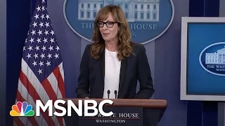 Allison Janney Surprises Press At White House Briefing | MSNBC