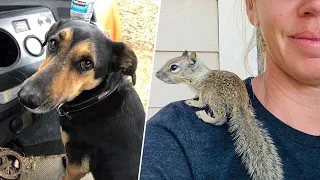 Woman gives forever home to baby squirrel