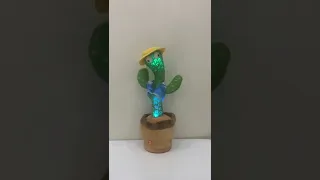 Танцующий кактус!
