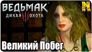 The Witcher 3: Wild Hunt Прохождение №108 Великий Побег