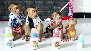 [Wow Very Cute] Obedient 4 Little Donal Molly Zuji & Smallest CC Sit In Row Waitting Milk