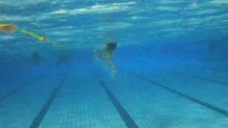 Wilson swim video