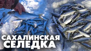 Сахалинская селедка, рыбалка озеро Тунайча