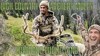 Bow Hunting Velvet Mule Deer in Colorado High Country - 2021 PUBLIC LAND Velvet Muley!