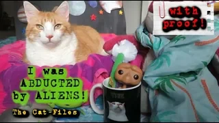 I Was Abducted By ALIENS With Proof! | The Cat-Files