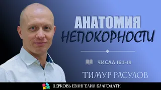 АНАТОМИЯ НЕПОКОРНОСТИ I Духовные уроки пятикнижия I Тимур Расулов I 05.11.23