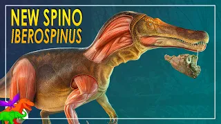 NEW Portuguese Spinosaur – Iberospinus – Shines Light on Spinosaur Evolution | Dinosaurs EXPLAINED