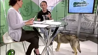 Luis Bernardo en la TPA con perro lobo checoslovaco.mpg