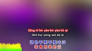 路灯下的小姑娘 (  Lu Deng Xia De Xiao Gu Niang - Brother Louie chinese version  )  with Lyrics