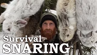 Catch and Cook RABBIT and HARE!!! | AMAZING SUCCESS! | CLEAN, COOK Over BUSHCRAFT Fire!