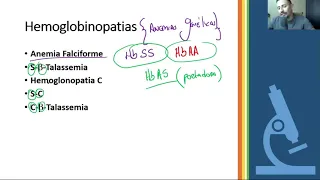 Interpretação do Hemograma - Exames Complementares e Hemoglobinopatias