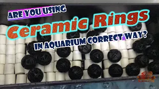 Are you using Ceramic Rings in Aquarium Correctly??? - Must Watch