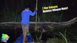 APES !! Dua Ekor Ular Raksasa 40 Meter Menampakkan Diri Saat Melintas di Sungai Mahakam!! Ngeri...