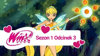 Klub Winx Sezon 1 odcinek 3 ""Szkoła Czarodziejek Alfea"" Dubbing Pl TeamWinx x