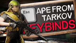 The Absolute BEST Tarkov Keybinds!