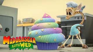 The Giant Cupcake | Madagascar: A Little Wild