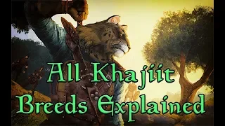 TES Lore: The 16 Breeds of Khajiit Explained!
