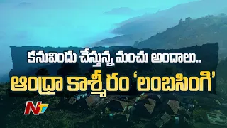 Lambasingi: Amazing Tourist Place in Vizag | A Special Story On Lambasingi | Ntv