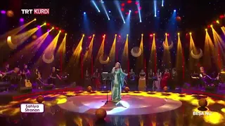 Курдская певица красиво поёт песню XALO