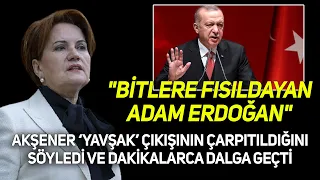 Meral Akşener'den Erdoğan'a çok sert gönderme, dakikalarca dalga geçti: "Bitlere fısıldayan adam"