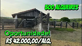 Fazenda a venda de 500 Alqueires saindo a R$ 42.000,00/Alq. uma barbada#pecuaria