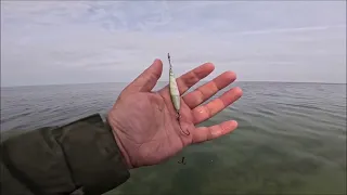 Meerforelle im Mai? Sind die Hornhechte schneller? Entschuppen von Hornis, schnell am Strand