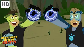 Cada transformação de poder de criatura Parte 14 | Aventuras com os Kratts